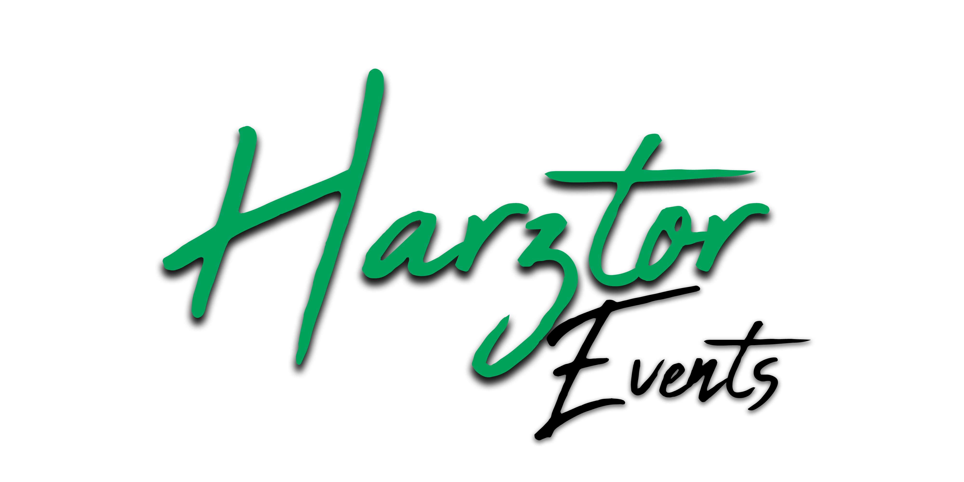 logo2